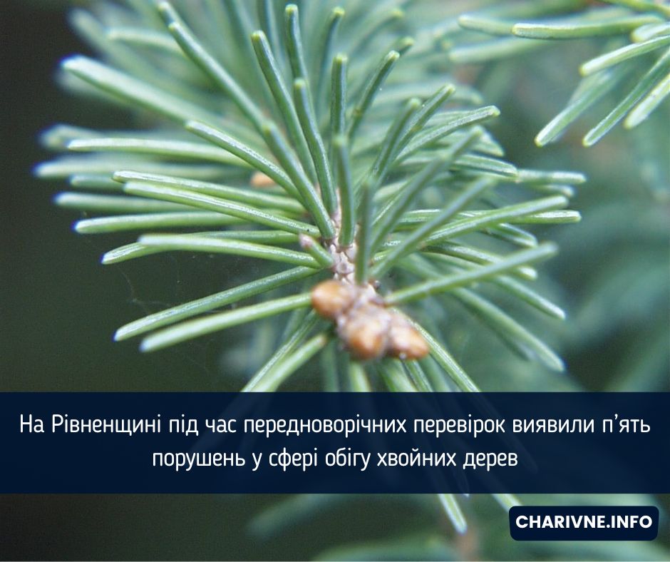 Фото ілюстративне